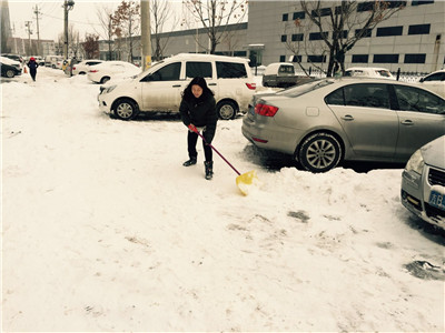 劳动的人光荣&mdash;&mdash;顺诚公司...