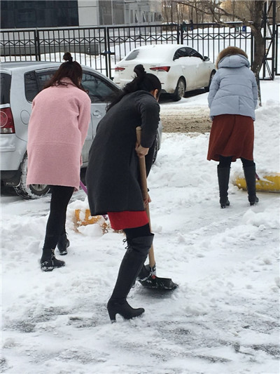 顺诚公司清晨清雪